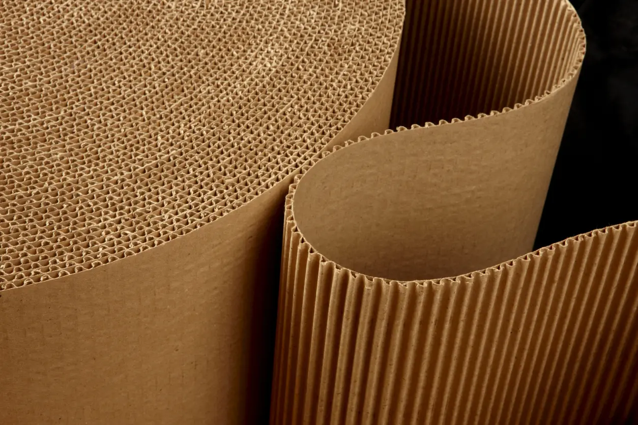 specialty kraft paper from SCG International
