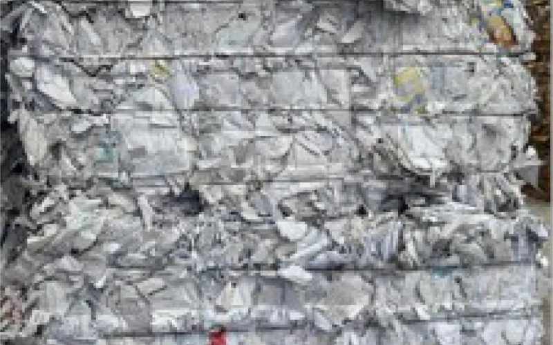 SWL Sorted White Ledger