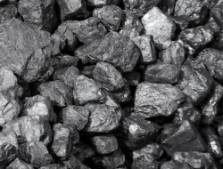 Non screened coal supply by SCG International