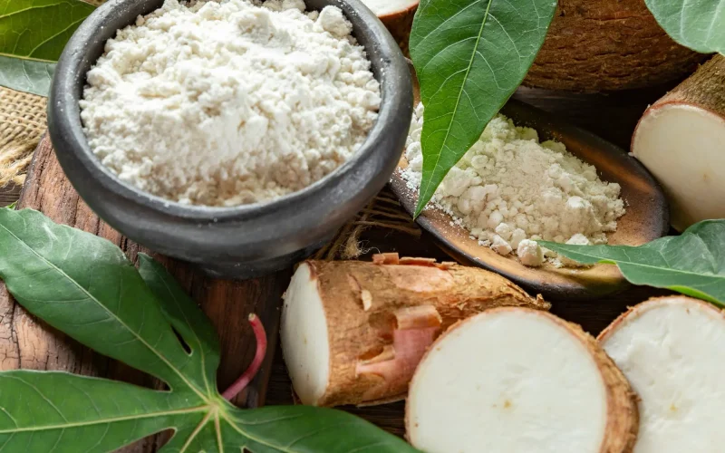 Modified Tapioca Starch_